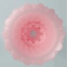 masturbateur pour homme athena alice rose