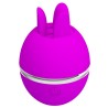 vibrateur rond en silicone gemini ball violet