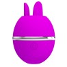 vibrateur rond en silicone gemini ball violet
