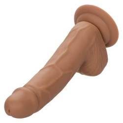clous en silicone 15.24 cm marron