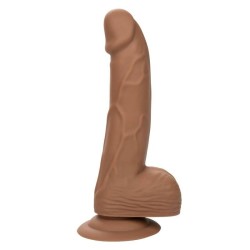 clous en silicone 15.24 cm marron