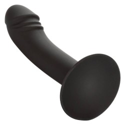 stud anal courb?