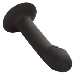 stud anal courb?