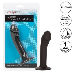stud anal courb?