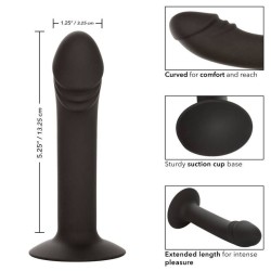 stud anal courb?