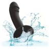 stud anal courb?