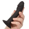 stud anal courb?