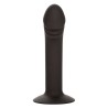 stud anal courb?