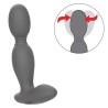 sonde rotateur