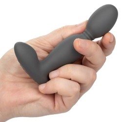 sonde rotateur