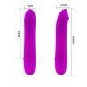 flirtation vibrateur beck