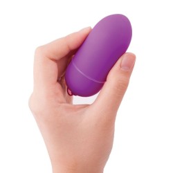 télécommande bnaughty unleashed classic lilas