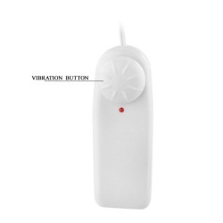 vibrateur  balles chinois golden