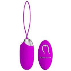 egg berger télécommande 12 v