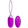 egg berger télécommande 12 v