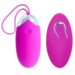 egg berger télécommande 12 v