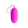 egg berger télécommande 12 v