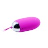 egg berger télécommande 12 v