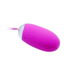 egg berger télécommande 12 v