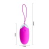 egg berger télécommande 12 v
