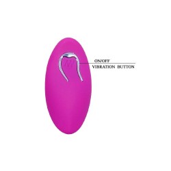 egg berger télécommande 12 v