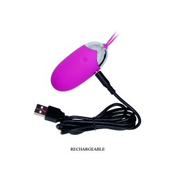 egg berger télécommande 12 v