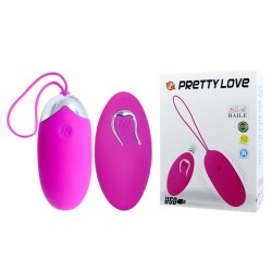 egg berger télécommande 12 v