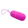oeuf vibrant arvin télécommande 12v
