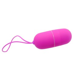 oeuf vibrant arvin télécommande 12v