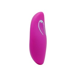oeuf vibrant arvin télécommande 12v