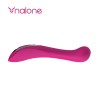 vibrateur rose touch system