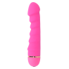 sally 20 vitesses silicone rose