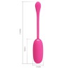 smart oeuf vibrant julius