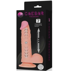 fonction haut et bas du gode réaliste caesar treasure