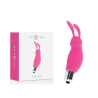 lapin roger rosa