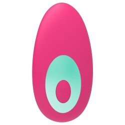 télécommande panty vibe