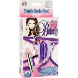 sans fil venus papillon