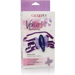 sans fil venus papillon