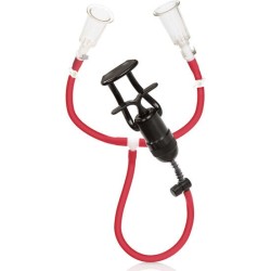 ondes de stimulation du muscle du poulain