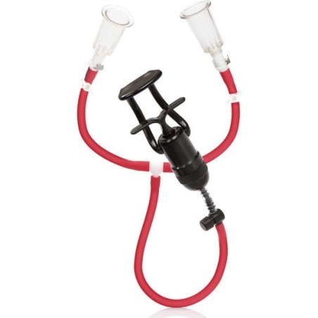 ondes de stimulation du muscle du poulain