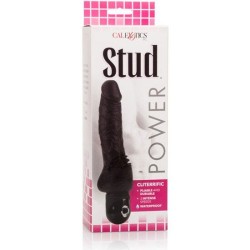 vibrateur noir power stud cliterrific