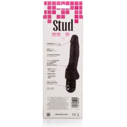 vibrateur noir power stud cliterrific