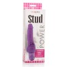 vibrateur violet power stud cliterrific