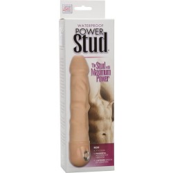 vibrateur pour la peau power stud rod