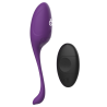 rewovo télécommande vibrateur  oeufs