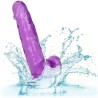 gode reine taille violet 15.3 cm