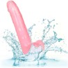gode reine taille rose 20.3 cm