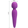 masseur meredith 12 modes de vibration