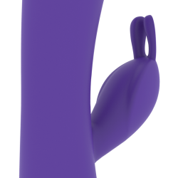 aitor rabbit compatible avec la technologie sans fil watchme