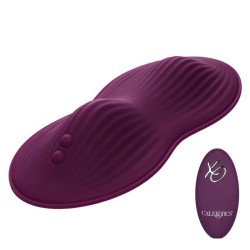 télécommande dual rider